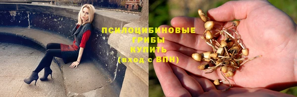 таблы Алзамай